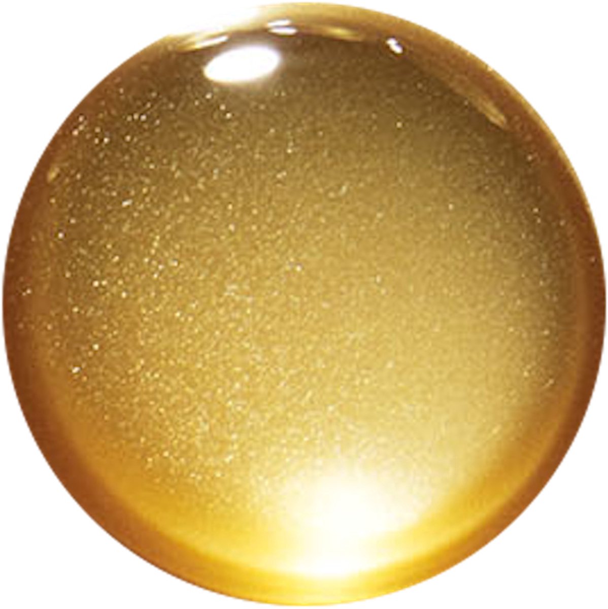 L'Oréal Paris Elvive Extraordinary Oil Shampoo - 250 ml